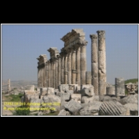 17453 04 069 Aphamea Syrien 2011.JPG